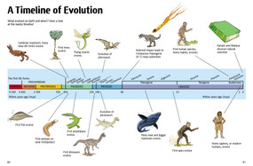 A Comic Book History of Evolution by Anna Claybourne, Emmanuel Cerisier, 9781525316357