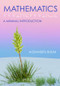 Mathematics (A Minimal Introduction) by Alexandru Buium, 9781138466845