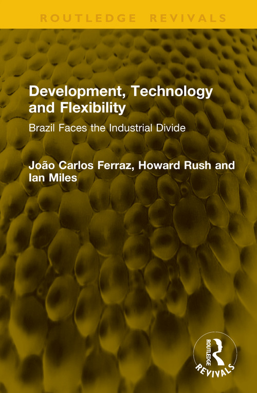 Development, Technology and Flexibility (Brazil Faces the Industrial Divide) by João Carlos Ferraz, Howard Rush, Ian Miles, 9781041338598
