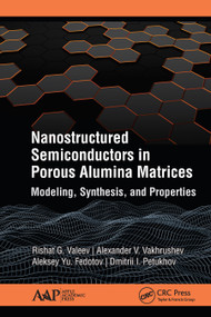 Nanostructured Semiconductors in Porous Alumina Matrices (Modeling, Synthesis, and Properties) by Rishat G. Valeev, Alexander V. Vakhrushev, Aleksey Yu. Fedotov, Dmitrii I. Petukhov, 9781771887700