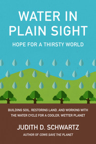 Water in Plain Sight (Hope for a Thirsty World) by Judith D. Schwartz, 9781603589161