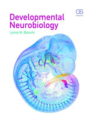 Developmental Neurobiology by Lynne Bianchi, 9780815344827