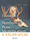 Human and Nonhuman Bone Identification (A Color Atlas) by Diane L. France, 9780367777913