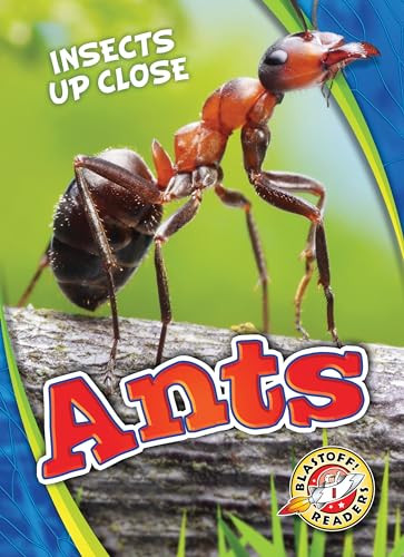 Ants by Patrick Perish, 9781626176577