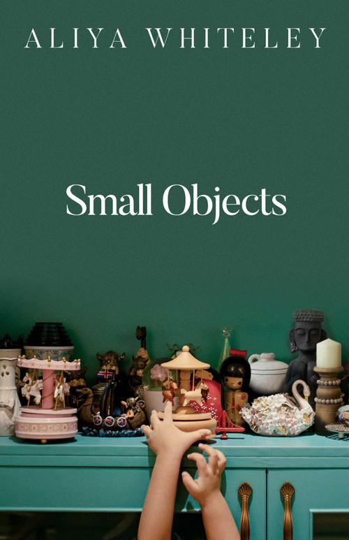 Small Objects by Aliya Whiteley, 9798895153468