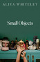 Small Objects by Aliya Whiteley, 9798895153468
