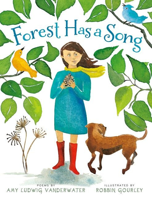 Forest Has a Song (Poems) by Amy Ludwig VanDerwater, Robbin Gourley, 9780618843497