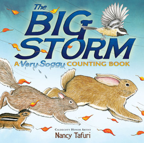 The Big Storm (A Very Soggy Counting Book) by Nancy Tafuri, Nancy Tafuri, 9781416967958