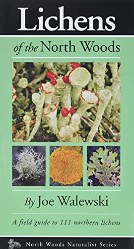 Lichens of the North Woods by Joe Walewski, 9780979200601