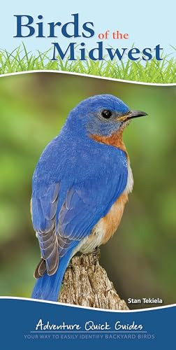Birds of the Midwest (Identify Backyard Birds with Ease) by Stan Tekiela, 9781591934066