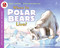 Where Do Polar Bears Live? by Sarah L. Thomson, Jason Chin, 9780061575174