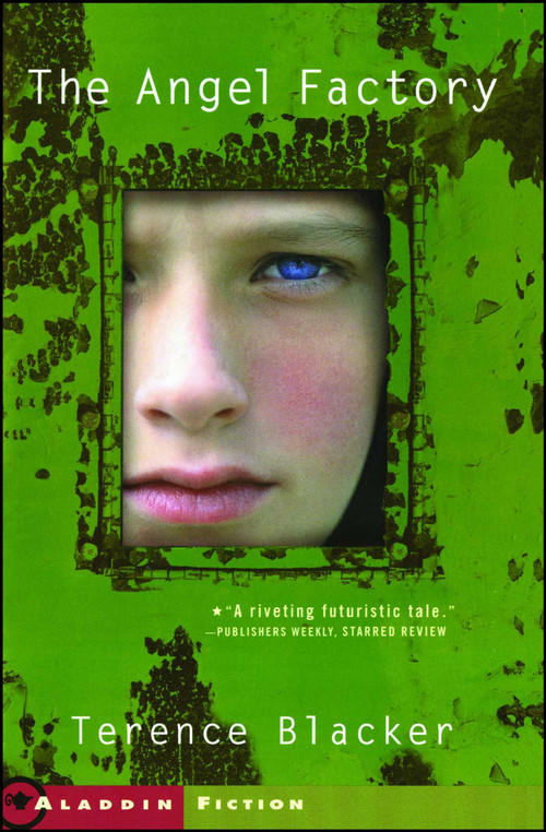 The Angel Factory by Terence Blacker, 9780689864131