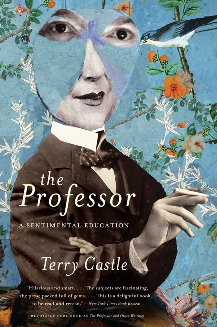 The Professor (A Sentimental Education) by Terry Castle, 9780061670923