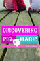 Discovering Pig Magic by Julie Crabtree, 9781571316837
