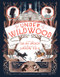 Under Wildwood - 9780062024732 by Colin Meloy, Carson Ellis, 9780062024732