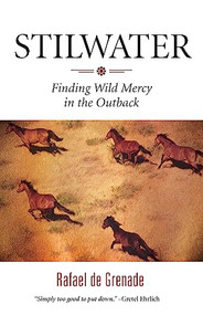 Stilwater (Finding Wild Mercy in the Outback) by Rafael de Grenade, 9781571313140