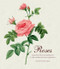 Roses (Mini Archive with DVD) by Pierre Joseph Redoute, James Sowerby, 9780062039552