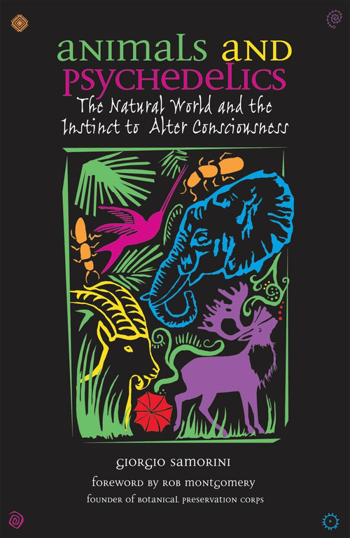 Animals and Psychedelics (The Natural World and the Instinct to Alter Consciousness) by Giorgio Samorini, Rob Montgomery, 9780892819867