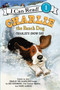 Charlie the Ranch Dog: Charlie's Snow Day by Ree Drummond, Diane deGroat, 9780062219114