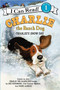 Charlie the Ranch Dog: Charlie's Snow Day (A Winter and Holiday Book for Kids) by Ree Drummond, Diane deGroat, 9780062219114