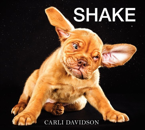 Shake by Carli Davidson, 9780062242648