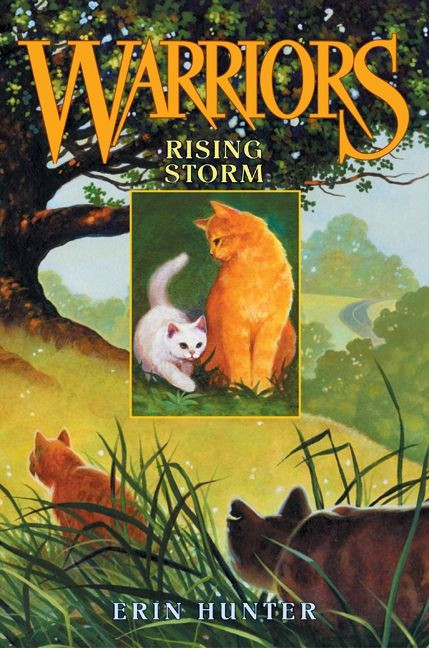 Warriors #4: Rising Storm by Erin Hunter, Dave Stevenson, 9780060000059