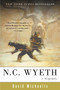 N. C. Wyeth (A Biography) by David Michaelis, 9780060089269