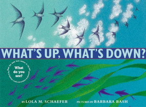 What's Up, What's Down? by Lola M. Schaefer, Barbara Bash, 9780060297572