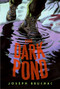 The Dark Pond by Joseph Bruchac, Sally Wern Comport, 9780060529987