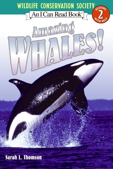 Amazing Whales! by Sarah L. Thomson, 9780060544676