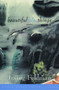 Beautiful False Things (Poems) by Irving Feldman, 9780802136572