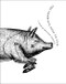 The Complete Nose to Tail by Fergus Henderson, 9780062282613