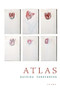 Atlas (Poems) by Katrina Vandenberg, 9781571314192