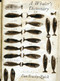 A Whaler's Dictionary by Dan Beachy-Quick, 9781571313096