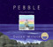 Pebble (A Story About Belonging) by Susan Milord, Susan Milord, 9780060858070