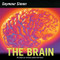 The Brain (All about Our Nervous System and More!) by Seymour Simon, 9780060877194