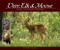 Deer, Elk & Moose (Grand and Majestic Creatures) by Stan Tekiela, 9781591934592