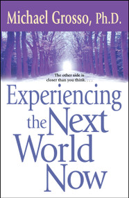 Experiencing the Next World Now by Michael Grosso, 9780743471053