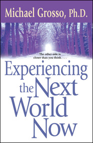 Experiencing the Next World Now by Michael Grosso, 9780743471053