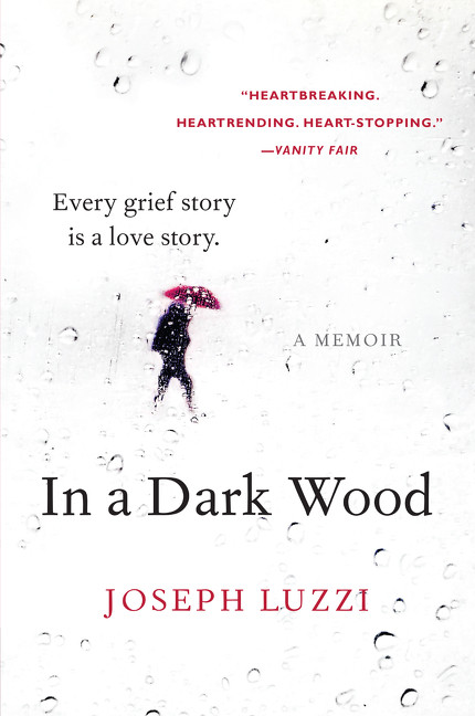 In a Dark Wood (A Memoir) by Joseph Luzzi, 9780062357526