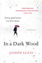 In a Dark Wood (A Memoir) by Joseph Luzzi, 9780062357526