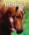 Horse by Malachy Doyle, Angelo Rinaldi, 9781416924678