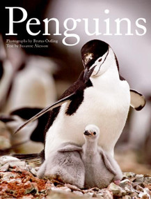 Penguins by Brutus Ostling, Susanne Akesson, 9780061198588