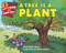 A Tree Is a Plant - 9780062382108 by Clyde Robert Bulla, Stacey Schuett, 9780062382108
