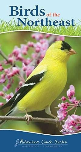 Birds of the Northeast (Your Way to Easily Identify Backyard Birds) by Stan Tekiela, 9781591934073