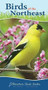 Birds of the Northeast (Your Way to Easily Identify Backyard Birds) by Stan Tekiela, 9781591934073
