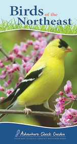 Birds of the Northeast (Your Way to Easily Identify Backyard Birds) by Stan Tekiela, 9781591934073