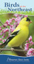 Birds of the Northeast (Your Way to Easily Identify Backyard Birds) by Stan Tekiela, 9781591934073