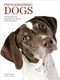 Photographing Dogs (Techniques for Professional Digital Photographers) by Lara Blair, 9781608955404
