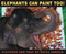 Elephants Can Paint Too! by Katya Arnold, Katya Arnold, 9780689869853
